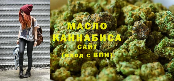 2c-b Бородино