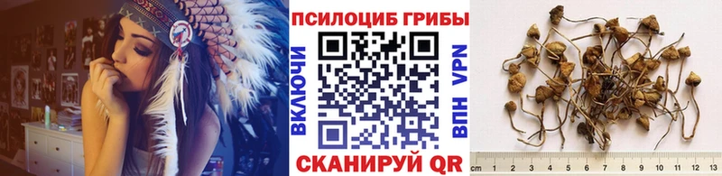 Галлюциногенные грибы мицелий  Клин 